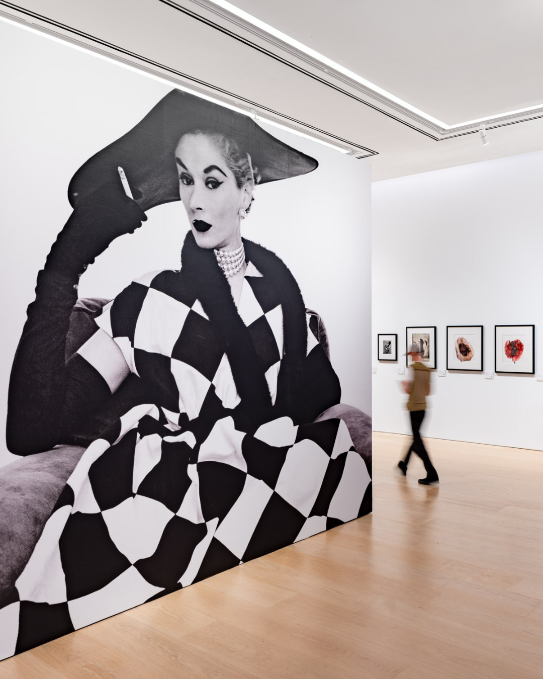 Phillips Visual Language: The Art of Irving Penn — NYC for FREE